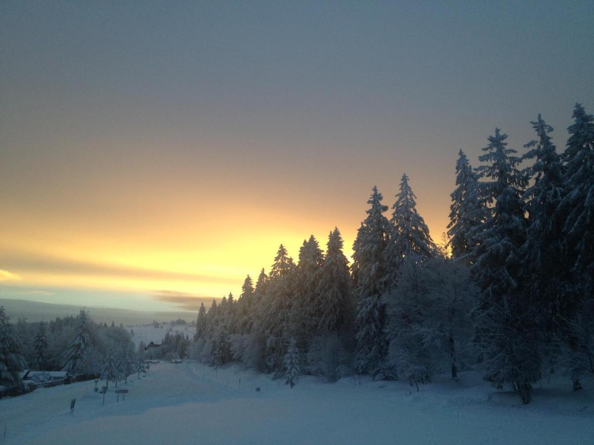 Les Gites De La Serva - Champ Du Feu - Montagnes- Vosges Belmont  Eksteriør bilde