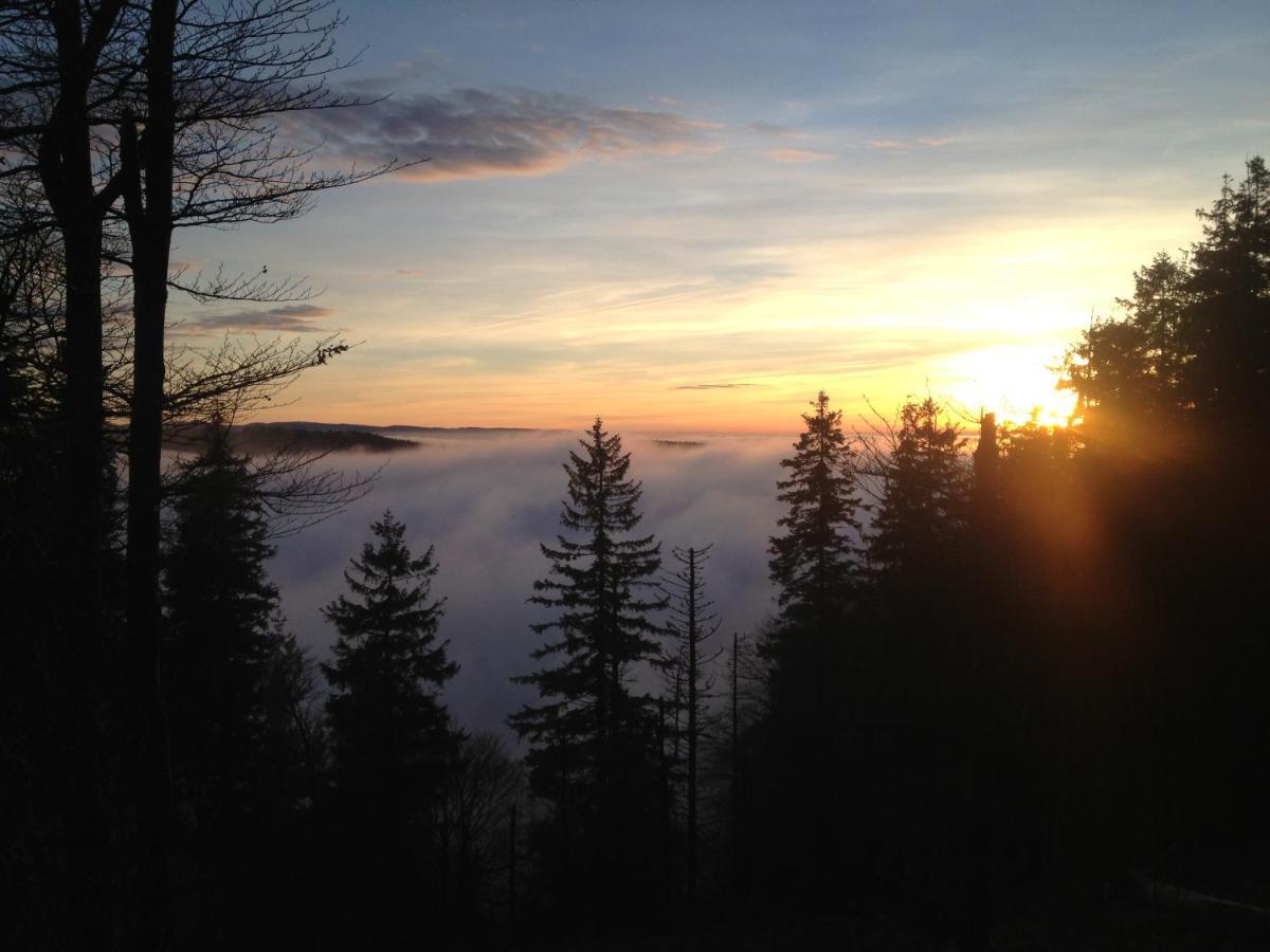 Les Gites De La Serva - Champ Du Feu - Montagnes- Vosges Belmont  Eksteriør bilde