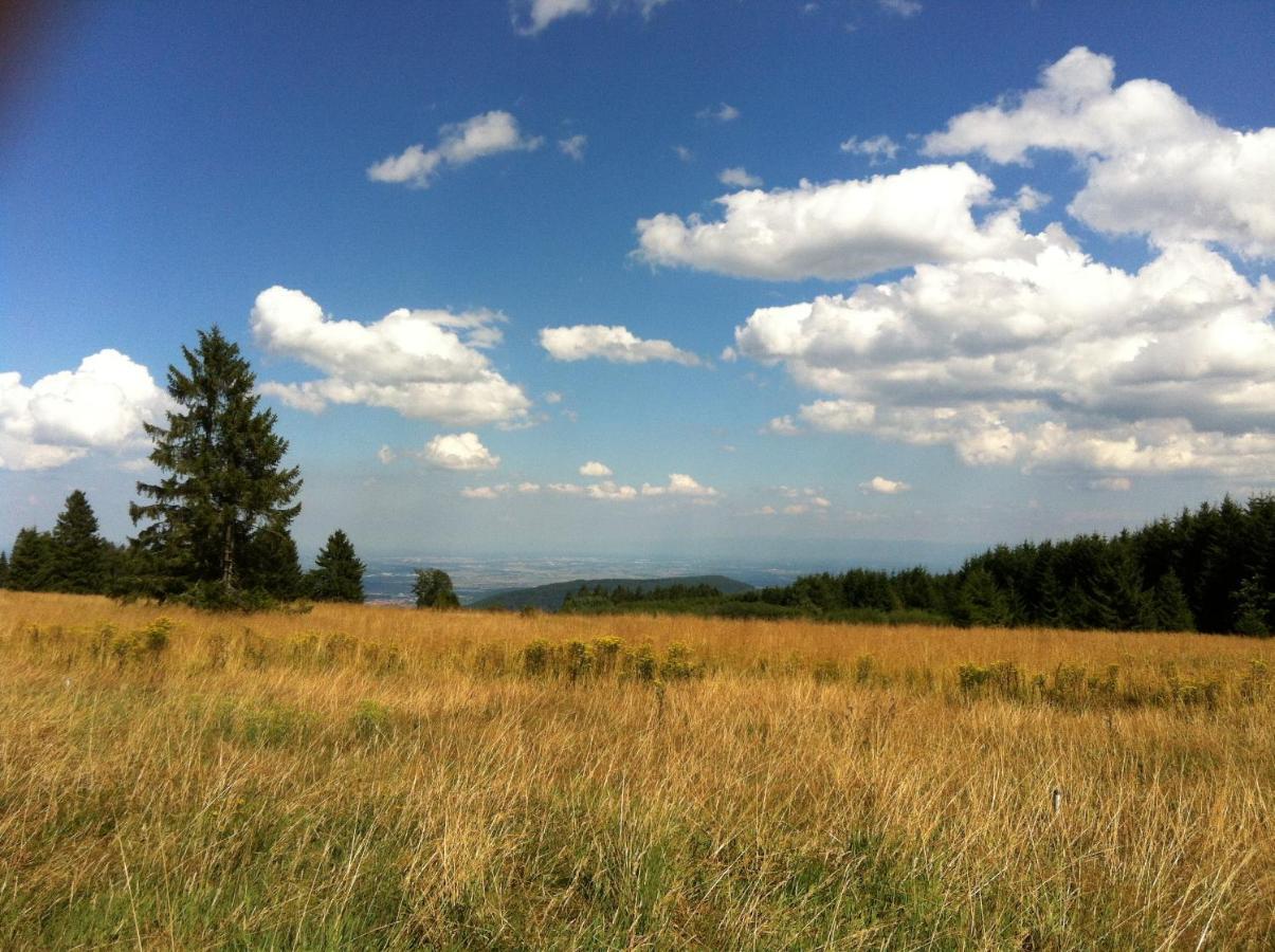 Les Gites De La Serva - Champ Du Feu - Montagnes- Vosges Belmont  Eksteriør bilde